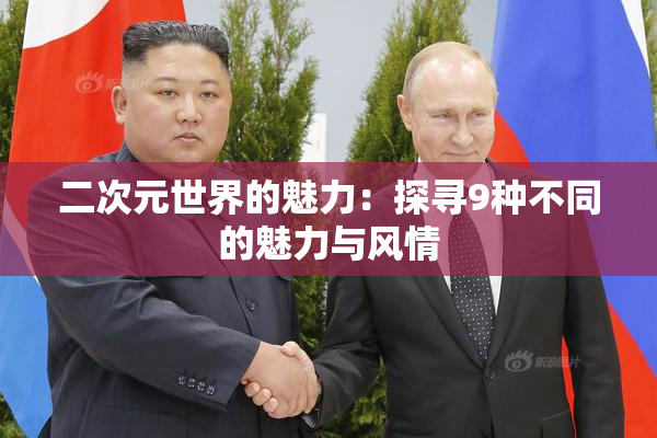 二次元世界的魅力：探寻9种不同的魅力与风情