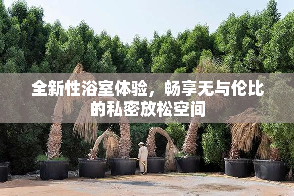 全新性浴室体验，畅享无与伦比的私密放松空间