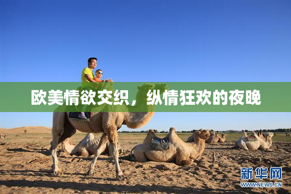 欧美情欲交织，纵情狂欢的夜晚