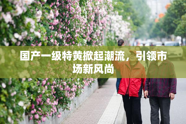 国产一级特黄掀起潮流，引领市场新风尚