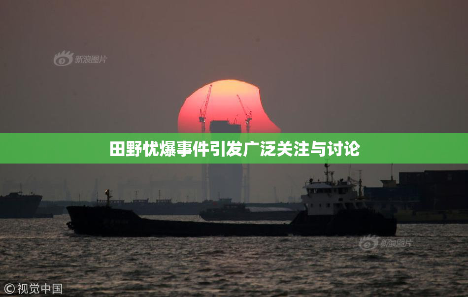 田野忧爆事件引发广泛关注与讨论