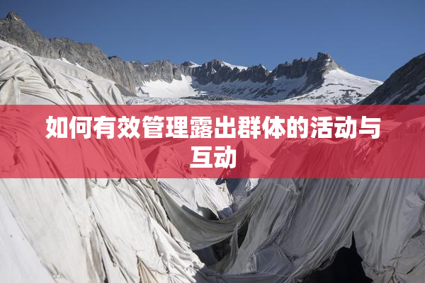 如何有效管理露出群体的活动与互动