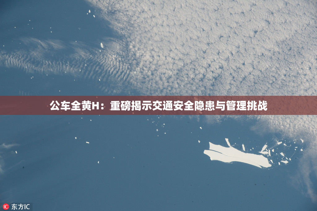 公车全黄H：重磅揭示交通安全隐患与管理挑战
