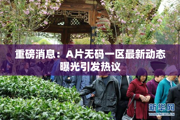 重磅消息：A片无码一区最新动态曝光引发热议