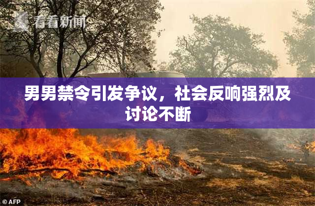 男男禁令引发争议，社会反响强烈及讨论不断