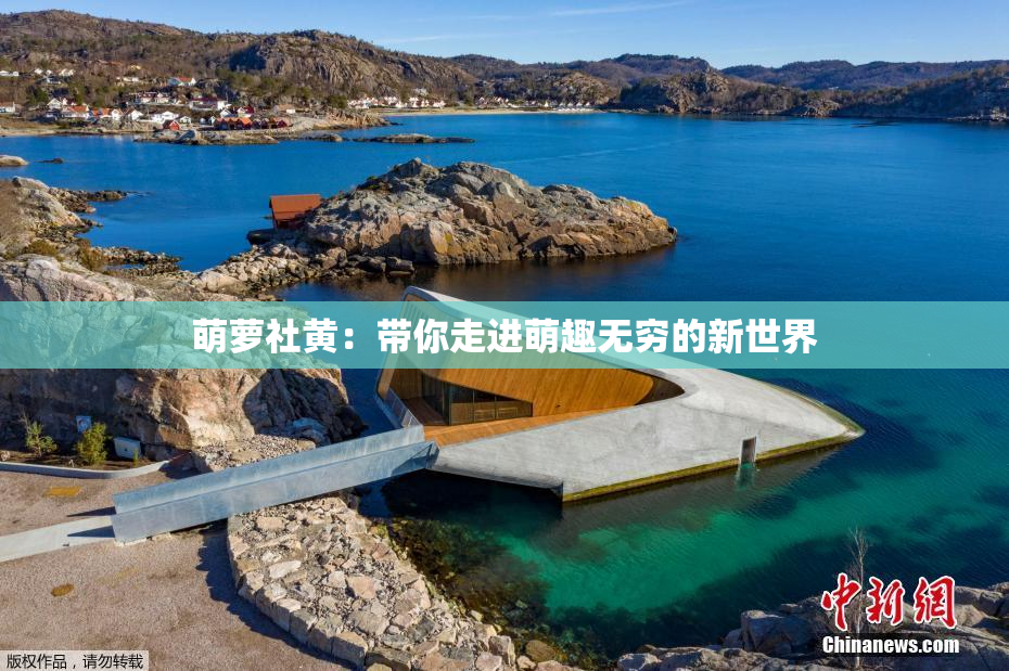 萌萝社黄：带你走进萌趣无穷的新世界