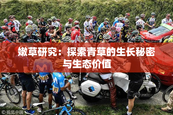 嫩草研究：探索青草的生长秘密与生态价值