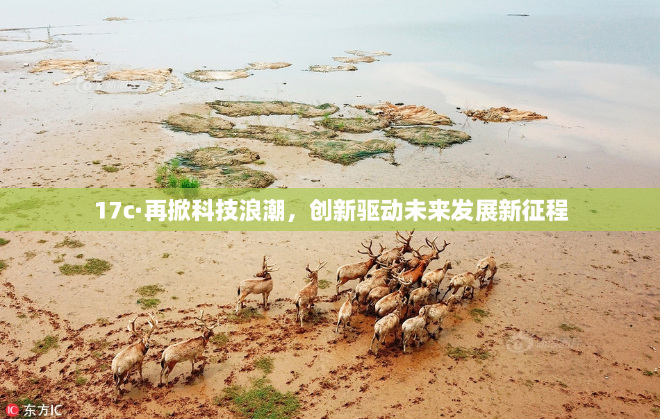 17c·再掀科技浪潮，创新驱动未来发展新征程