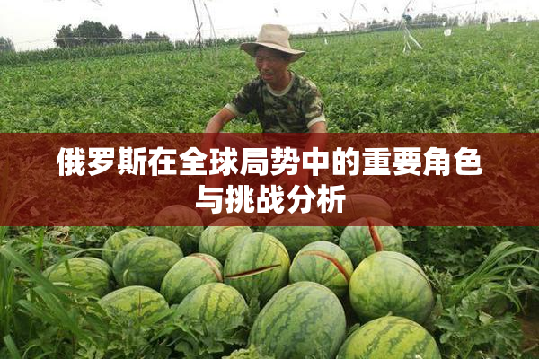 俄罗斯在全球局势中的重要角色与挑战分析