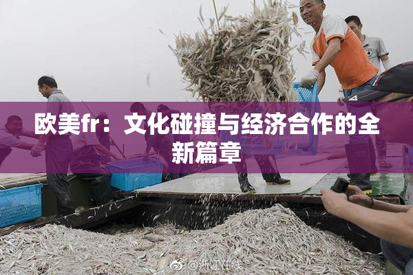 欧美fr：文化碰撞与经济合作的全新篇章