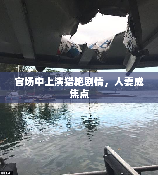 官场中上演猎艳剧情，人妻成焦点