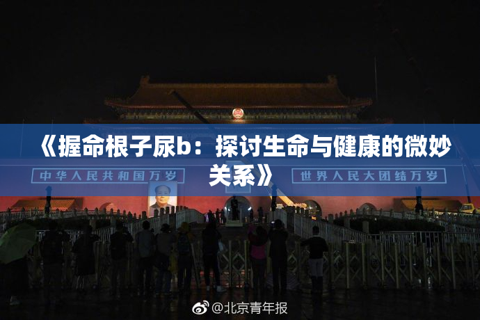 《握命根子尿b：探讨生命与健康的微妙关系》