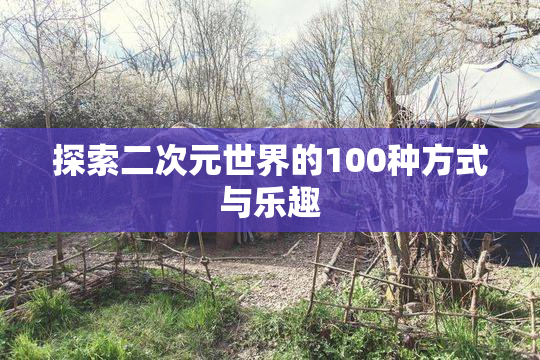 探索二次元世界的100种方式与乐趣