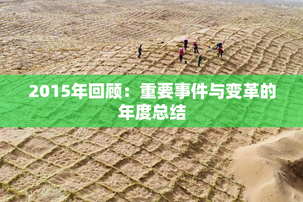 2015年回顾：重要事件与变革的年度总结
