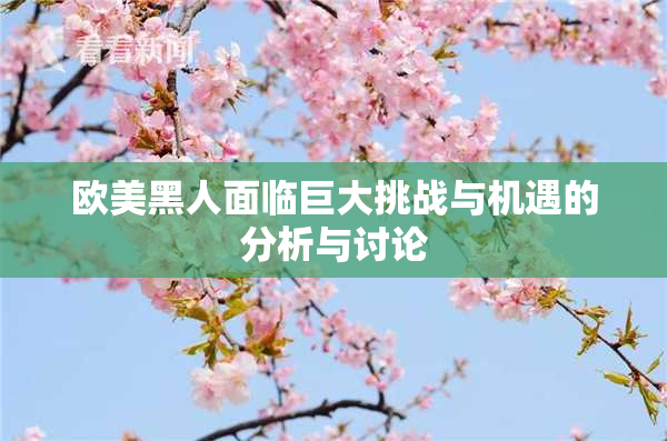 欧美黑人面临巨大挑战与机遇的分析与讨论