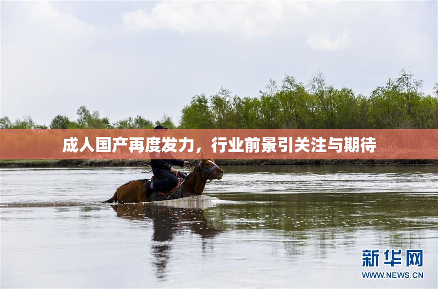成人国产再度发力，行业前景引关注与期待