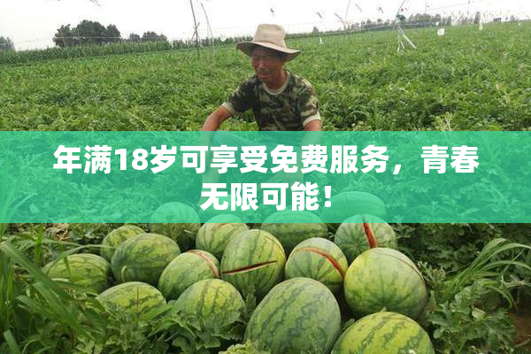 年满18岁可享受免费服务，青春无限可能！
