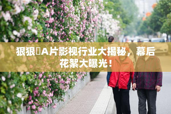 狠狠穞A片影视行业大揭秘，幕后花絮大曝光！
