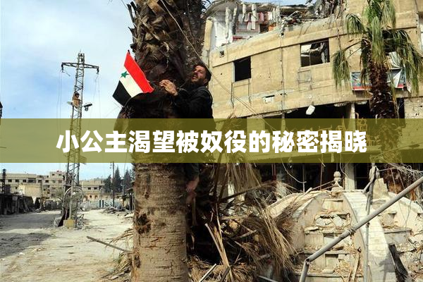 小公主渴望被奴役的秘密揭晓