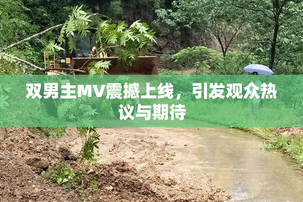 双男主MV震撼上线，引发观众热议与期待