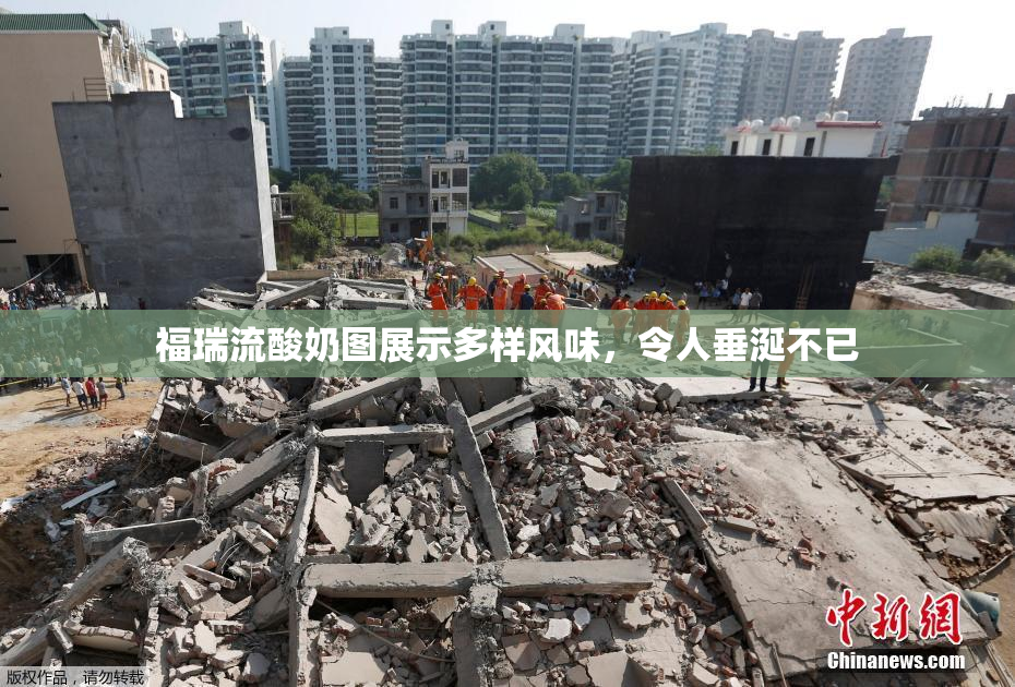 福瑞流酸奶图展示多样风味，令人垂涎不已