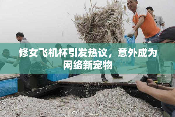 修女飞机杯引发热议，意外成为网络新宠物