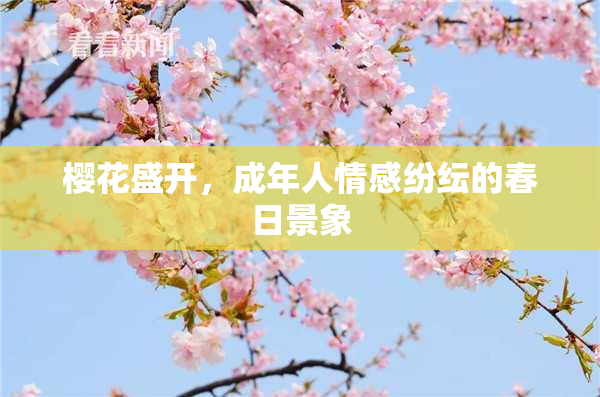 樱花盛开，成年人情感纷纭的春日景象