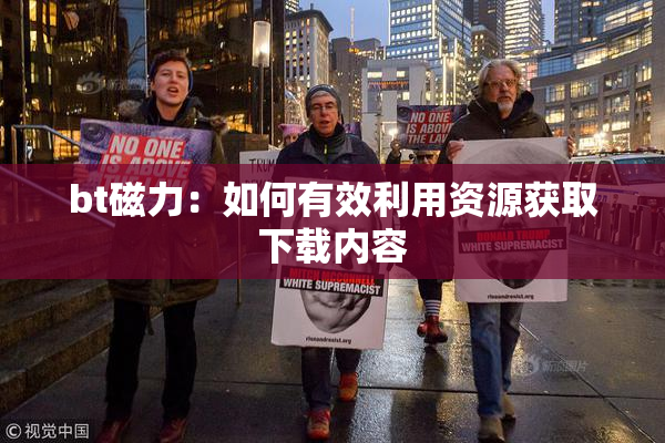 bt磁力：如何有效利用资源获取下载内容