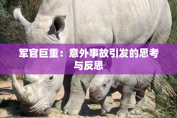 军官巨重：意外事故引发的思考与反思