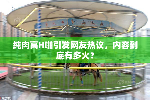 纯肉高H啪引发网友热议，内容到底有多火？