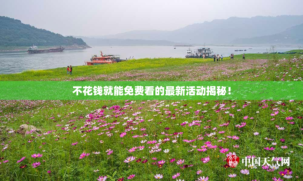 不花钱就能免费看的最新活动揭秘！
