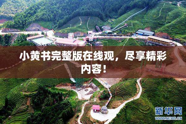 小黄书完整版在线观，尽享精彩内容！