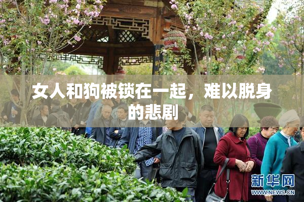 女人和狗被锁在一起，难以脱身的悲剧