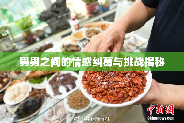男男之间的情感纠葛与挑战揭秘