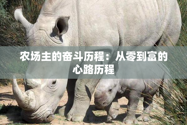 农场主的奋斗历程：从零到富的心路历程