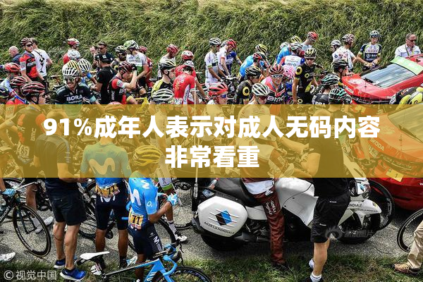 91%成年人表示对成人无码内容非常看重