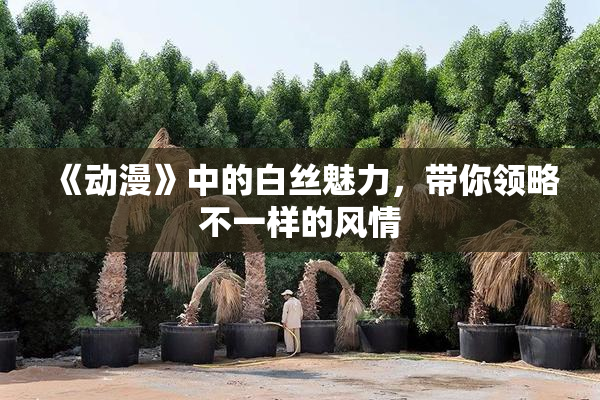 《动漫》中的白丝魅力，带你领略不一样的风情