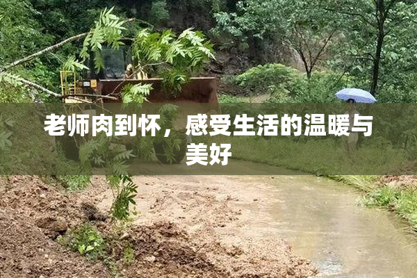 老师肉到怀，感受生活的温暖与美好