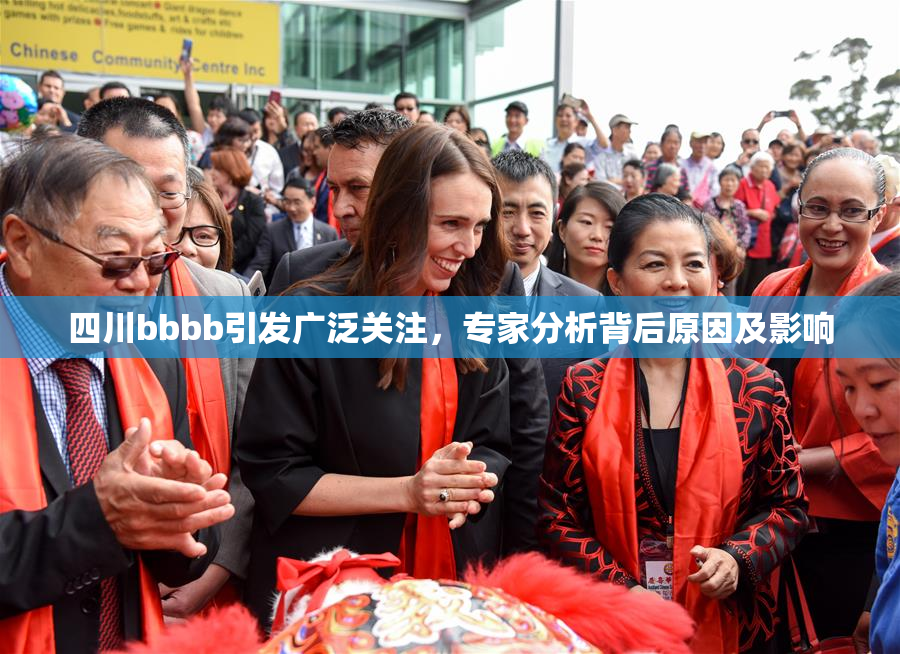 四川bbbb引发广泛关注，专家分析背后原因及影响
