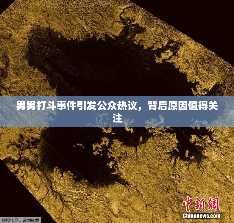 男男打斗事件引发公众热议，背后原因值得关注