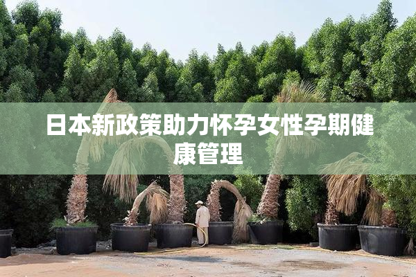 日本新政策助力怀孕女性孕期健康管理