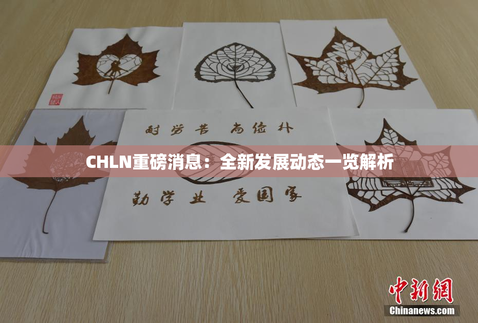 CHLN重磅消息：全新发展动态一览解析