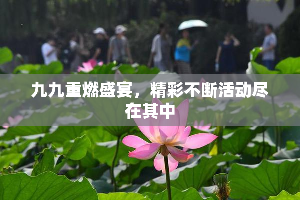 九九重燃盛宴，精彩不断活动尽在其中