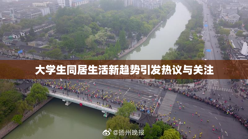 大学生同居生活新趋势引发热议与关注