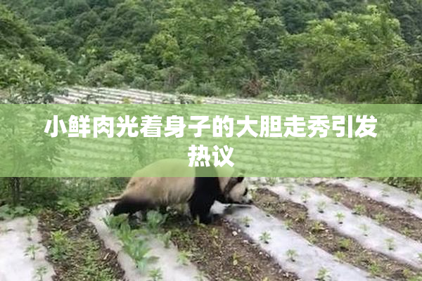 小鲜肉光着身子的大胆走秀引发热议
