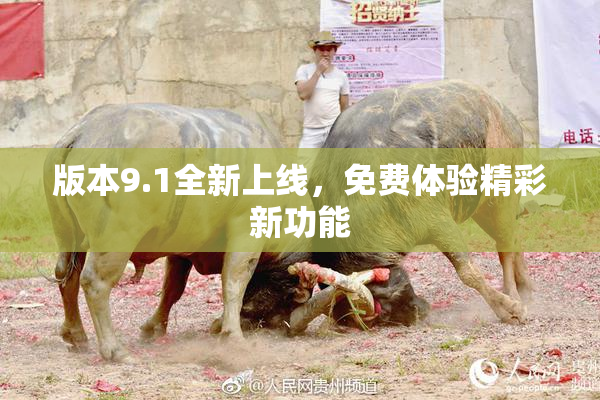 版本9.1全新上线，免费体验精彩新功能