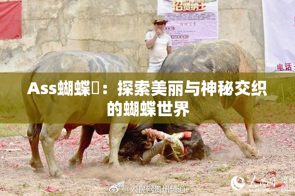 Ass蝴蝶泬：探索美丽与神秘交织的蝴蝶世界