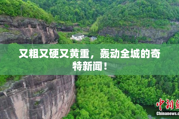 又粗又硬又黄重，轰动全城的奇特新闻！