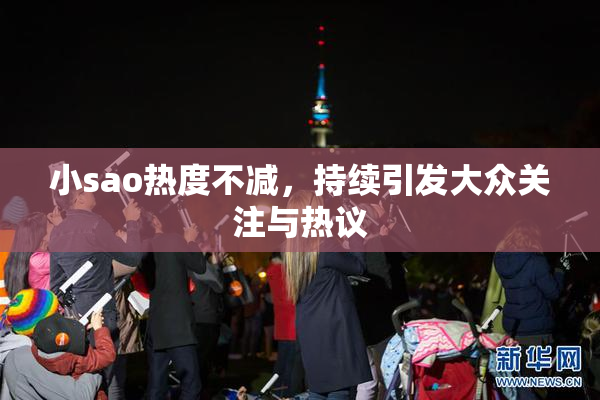 小sao热度不减，持续引发大众关注与热议