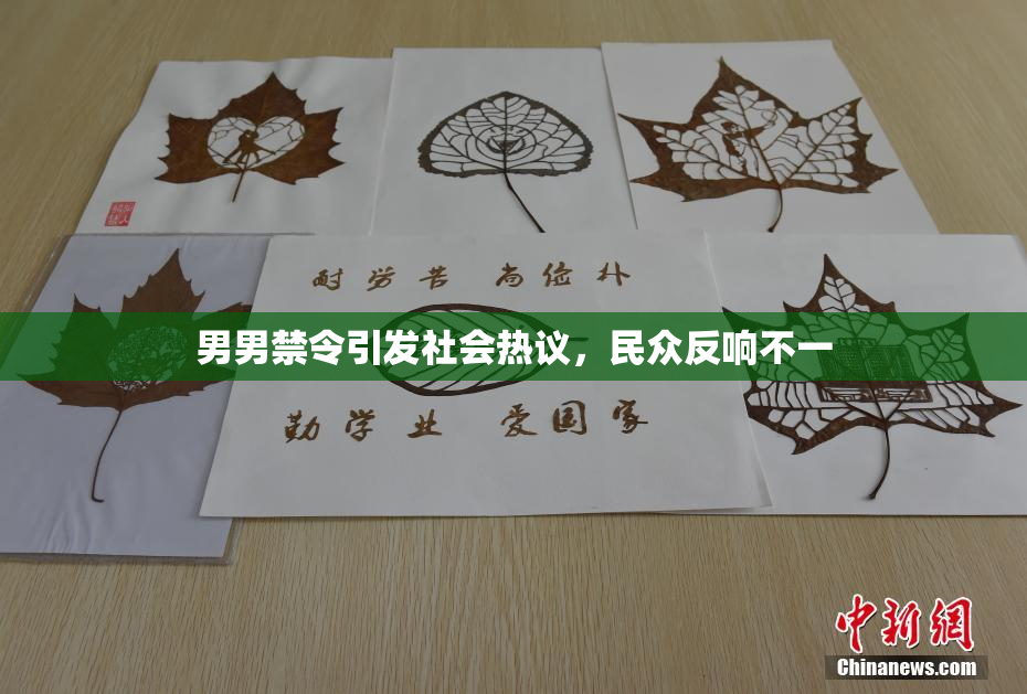 男男禁令引发社会热议，民众反响不一